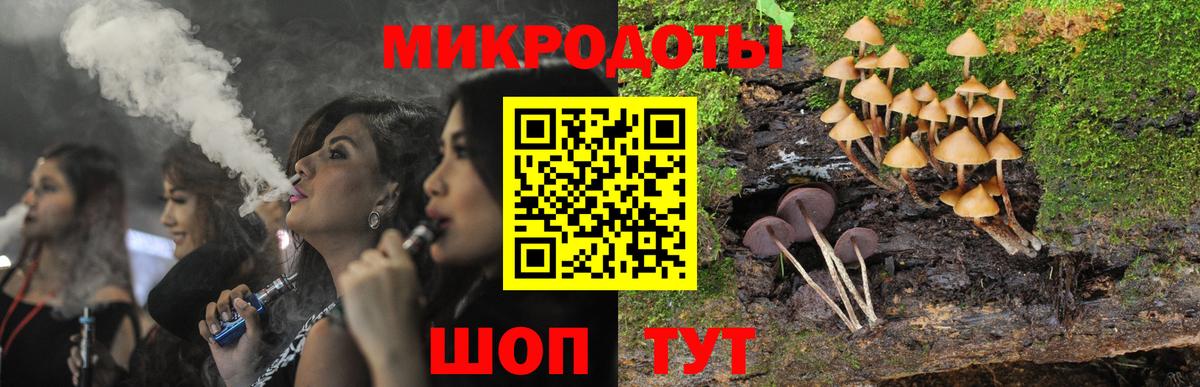 Псилоцибиновые грибы Cubensis Краснодар