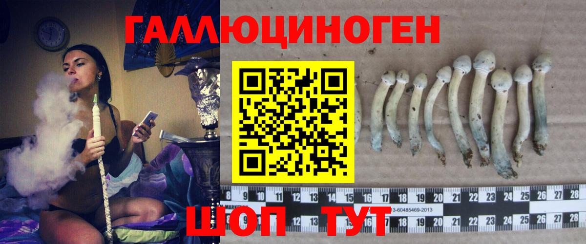 Краснодар  Псилоцибиновые грибы MAGIC MUSHROOMS  Вход с VPN  Галлюциногенные грибы прущие грибы 